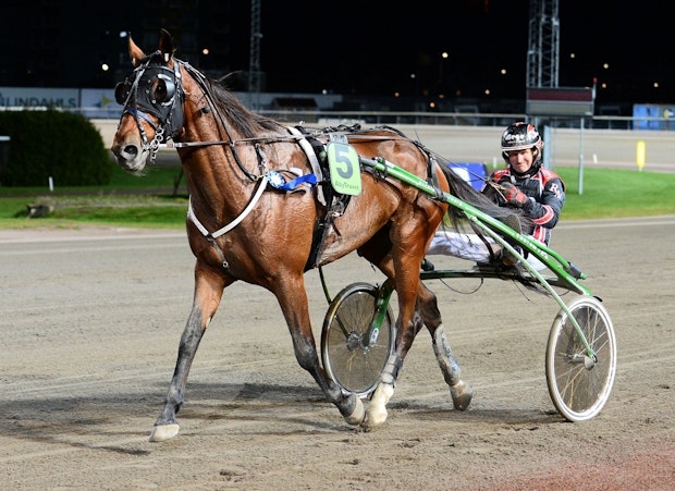 V86 7 King Edward Segerdef Jpg 647598