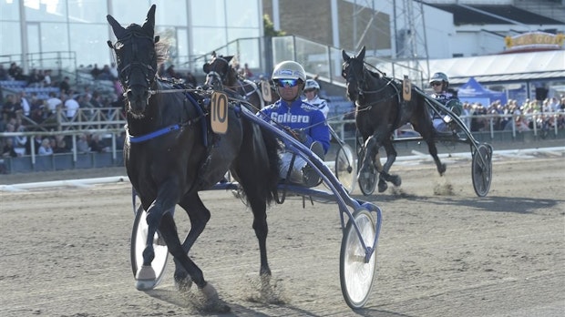 Vaesterbo Hard Cash