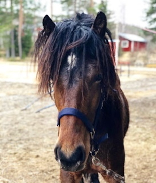 2 BFE9 D8 F 5 C4 D 49 E1 920 F CF0 DACDBFFC7