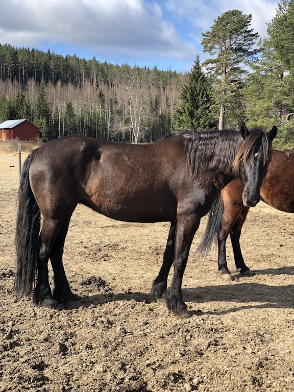 44693533 0 AF8 4 B04 955 D 2 E3 FDB38 CD09