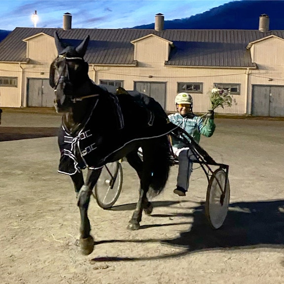 5 FAEFDCB D30 D 4 B87 97 C3 1 E920 DF51 D93