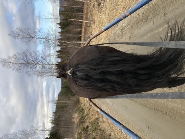 6 B166 D05 8 CCA 460 C A5 F8 52 E41 EF2 AF63