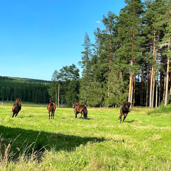 7648 EB20 217 B 4112 8 D71 2 B0409 C134 D5