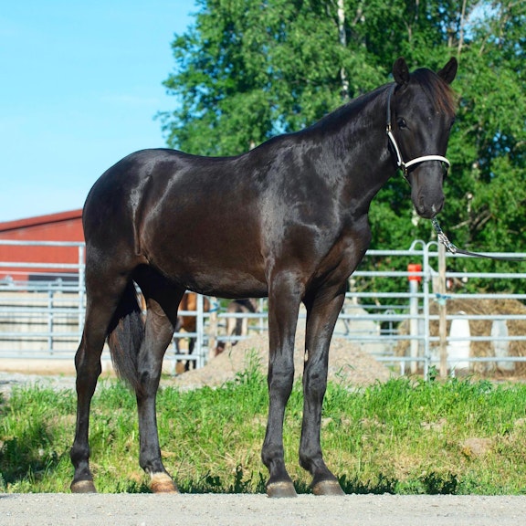 992 BF9 DA 88 DE 4875 8867 DC64 EF7 C5 FFA