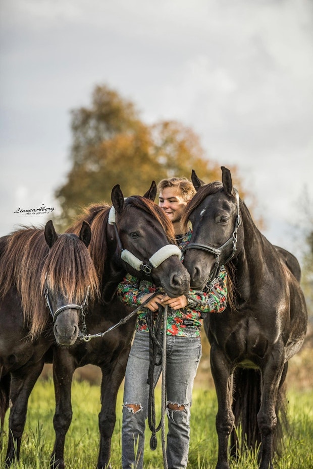 AE0 F57 A8 A31 D 44 CF 8612 E0432 A57 C7 A3