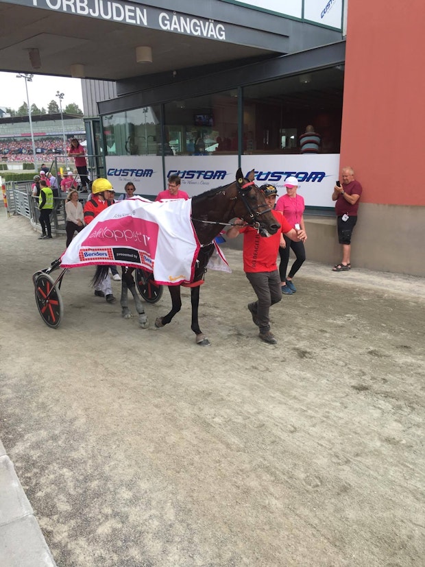 18817619 10155554256004610 1359369415 O