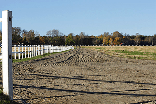 Backe I Anslutning Till Allen