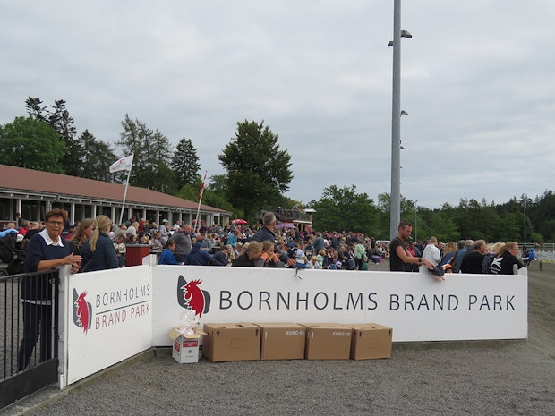 Bornholmvc