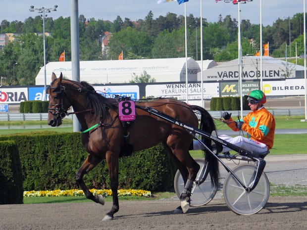Elitloppet 3