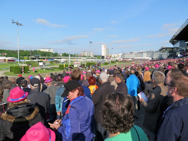 Elitloppet 6