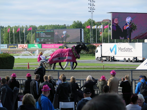 Elitloppet 8