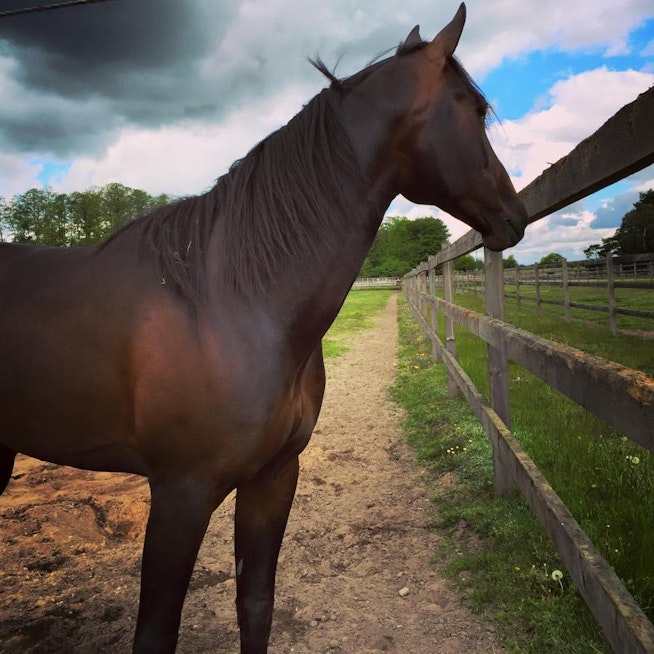 11112772 10153395785999048 1308306311467805095 N