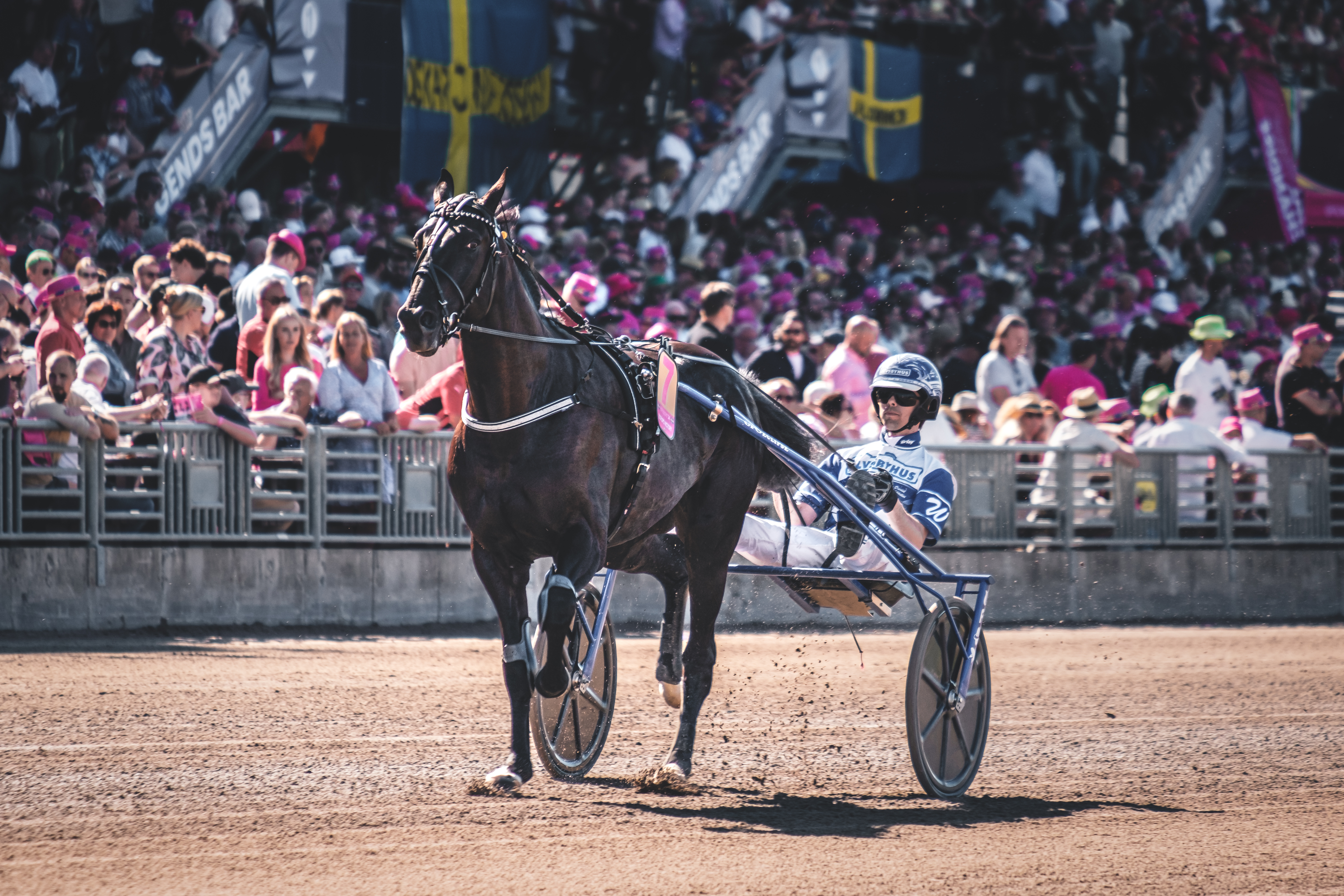 Borups Victory elitloppsförsök