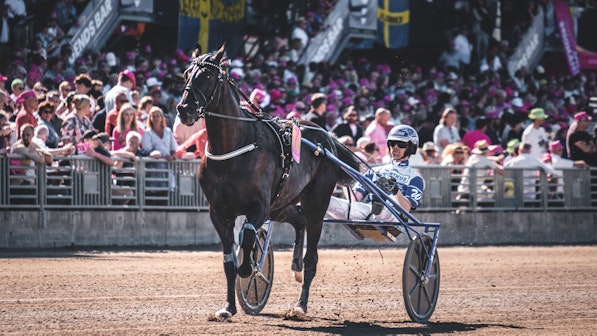 Foto: Jonatan Östlund