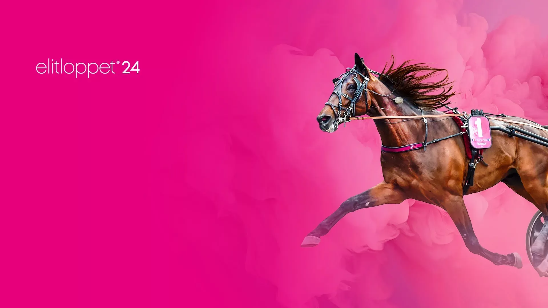 240524 Elitloppet Slapp 26 feb slider solvalla se