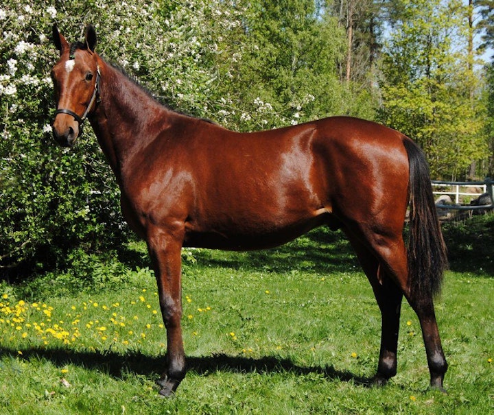 529 22bottnasideal2 72