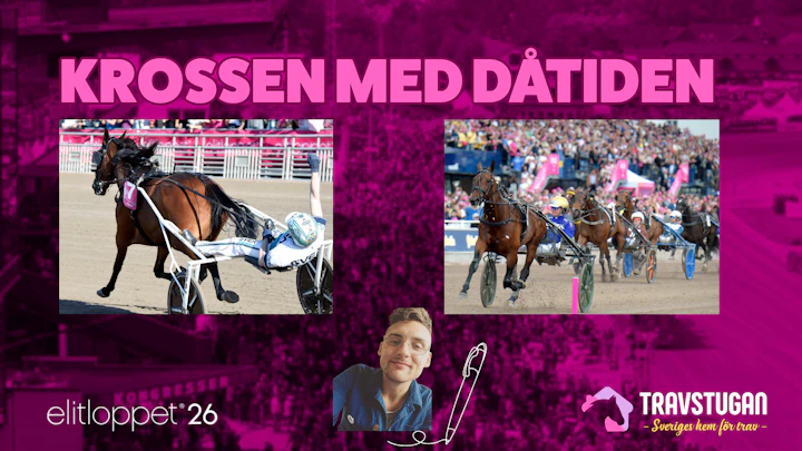 ALLED232 D