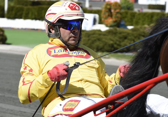 Alessandro Gocciadoro