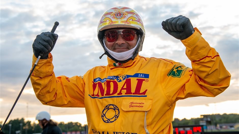 Unghäststjärna till Gocciadoro