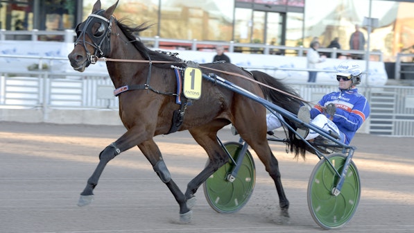 Oaks-tvåan på Travera - slutar tävla