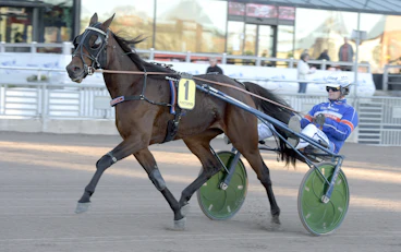 Aurelia Express heat