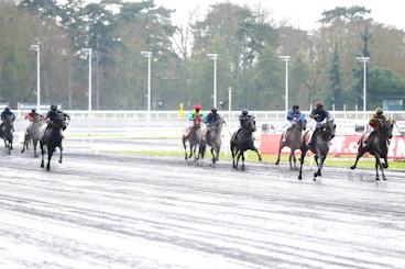 monté vincennes