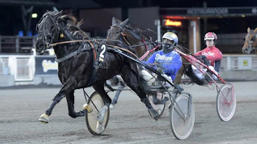Betting Pacer mal