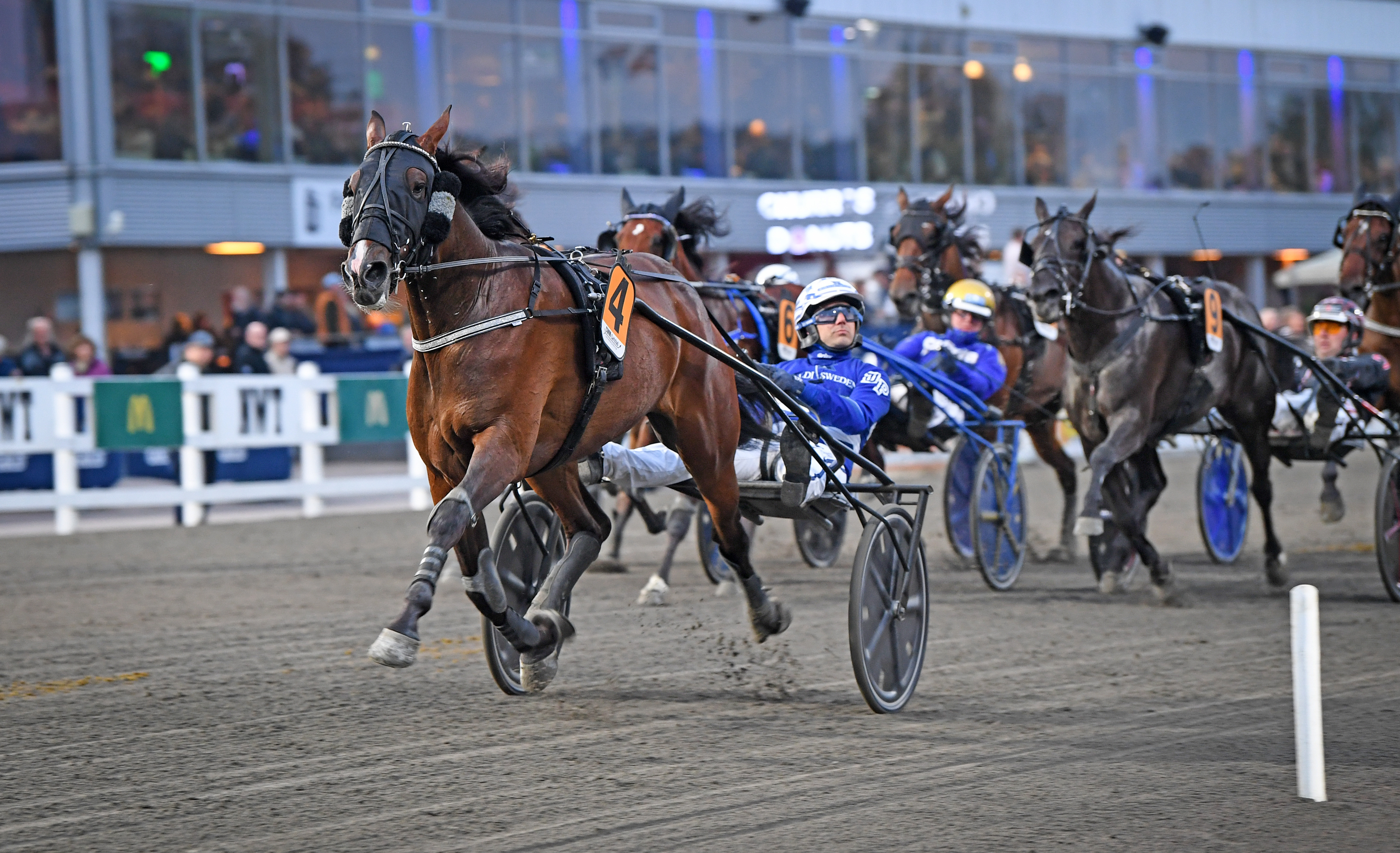 Bicc s Tobee m l 507 3