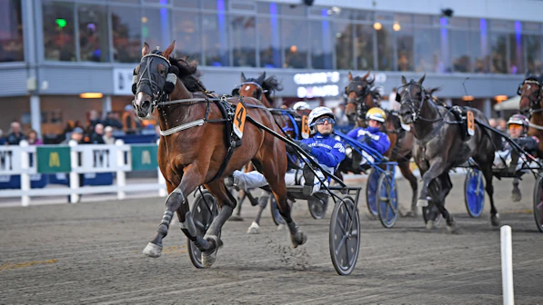 Bicc s Tobee m l 507 3