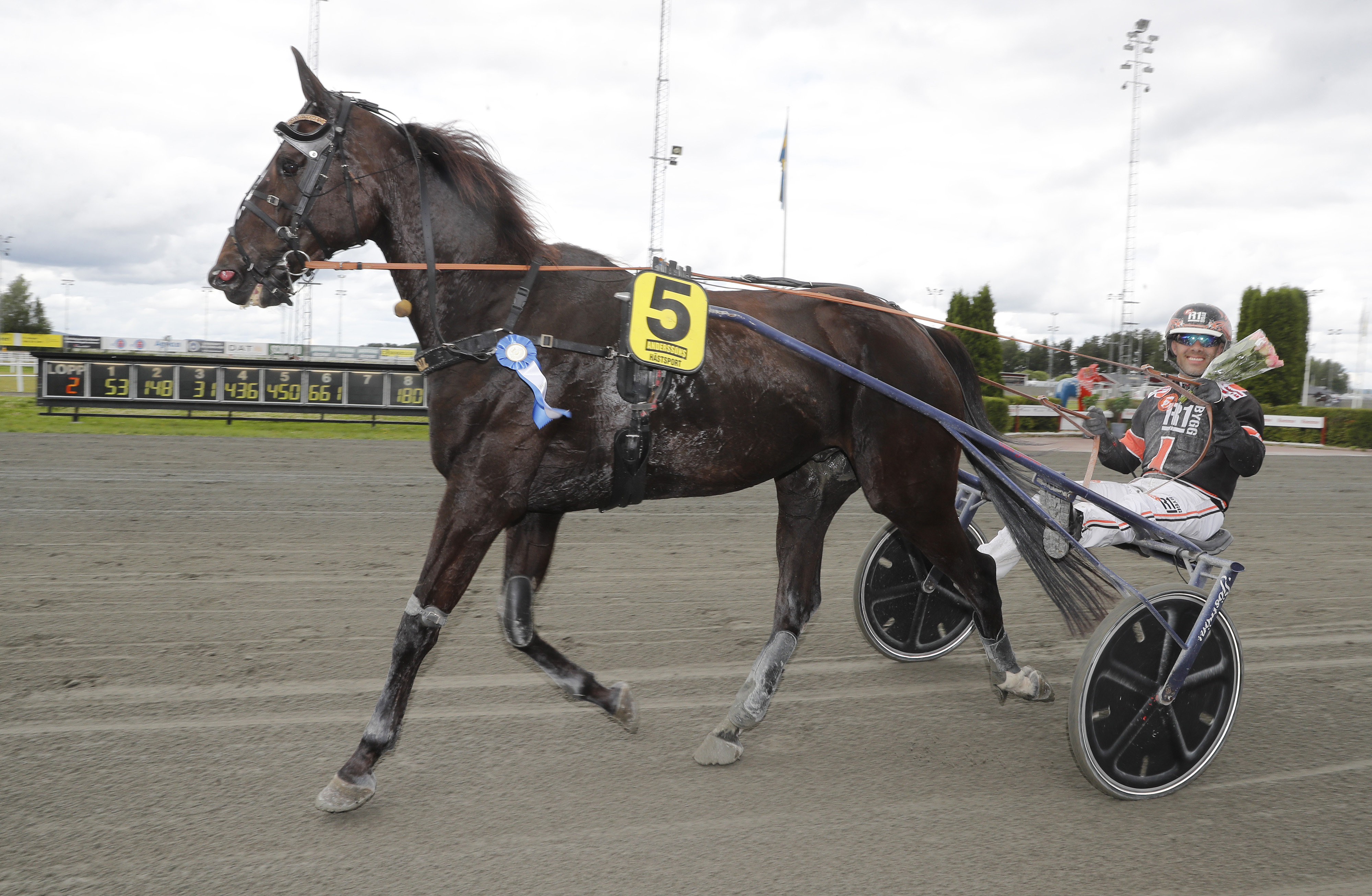 Svenskhäst tillbaka i kval - i Finland