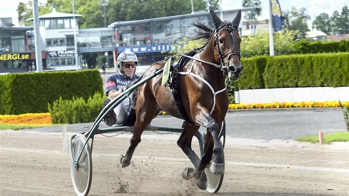 Calgary Games snabbjobb Solvalla