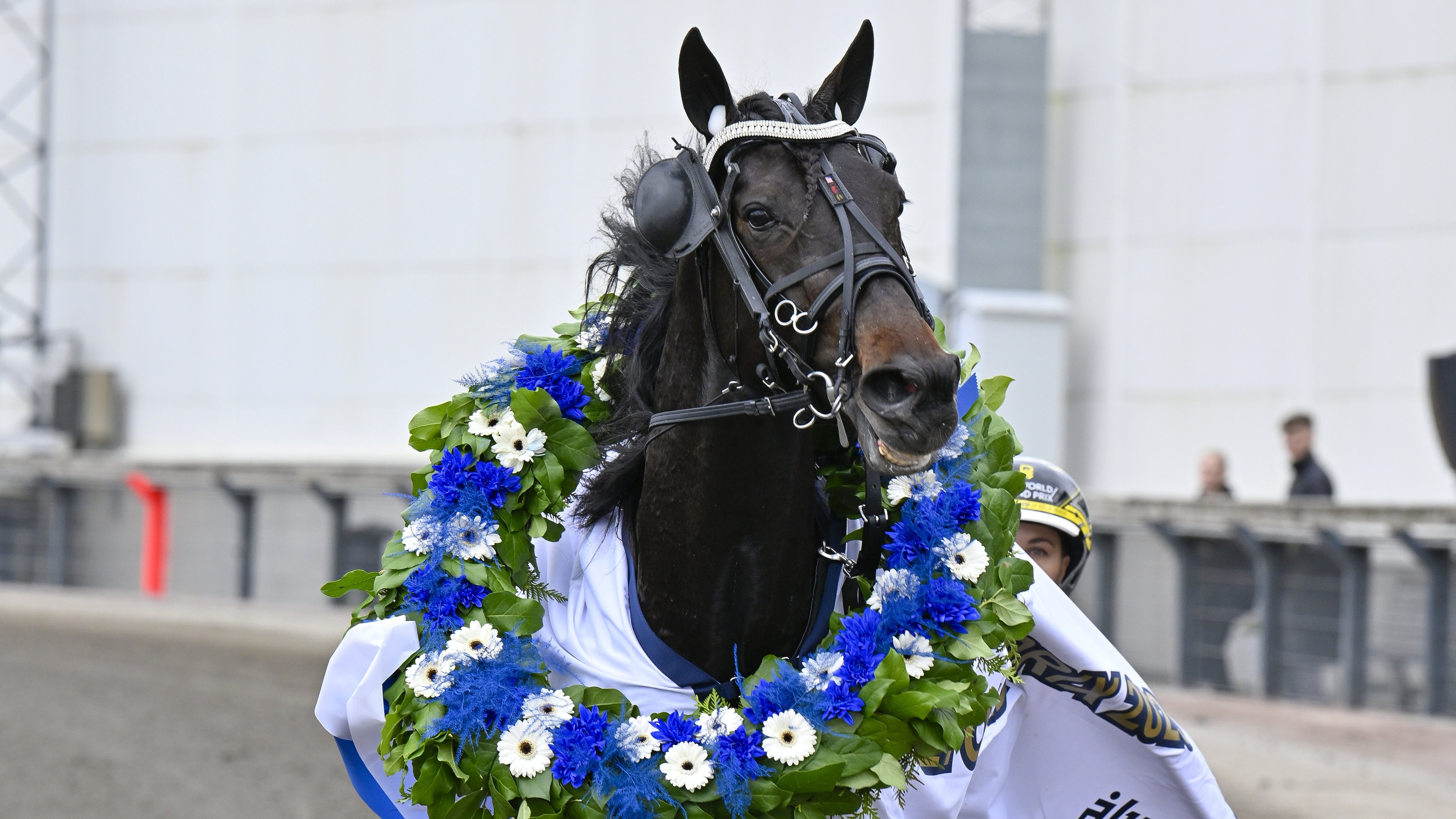 Charron head Cropped