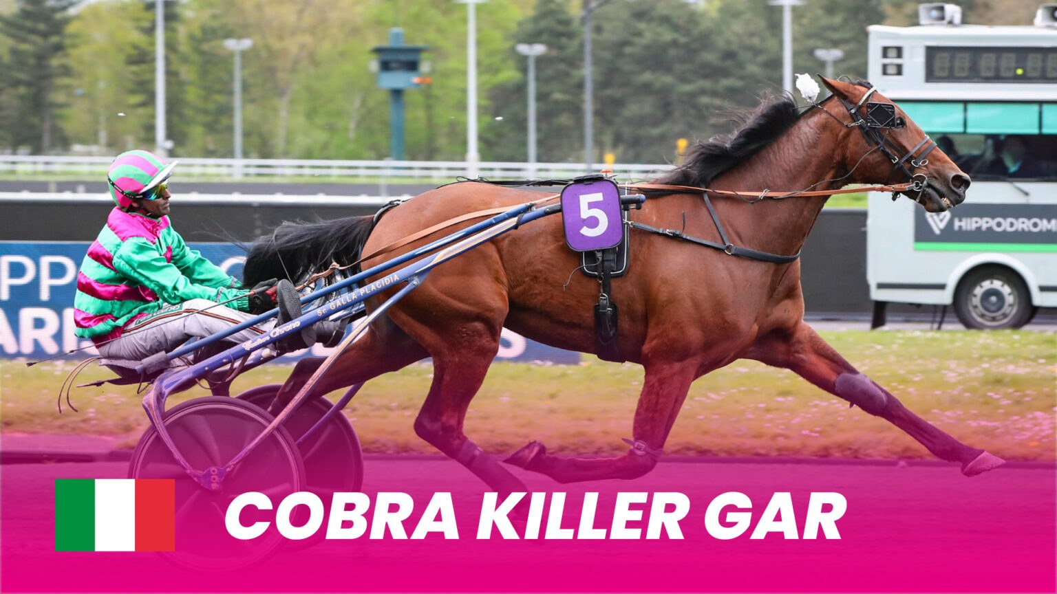 Cobra Killer Gar 1920x1080 1536x864
