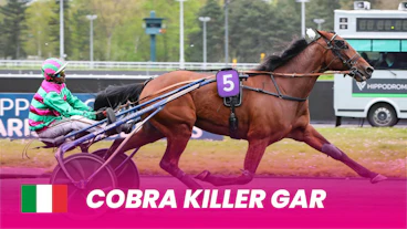 Cobra Killer Gar 1920x1080 1536x864