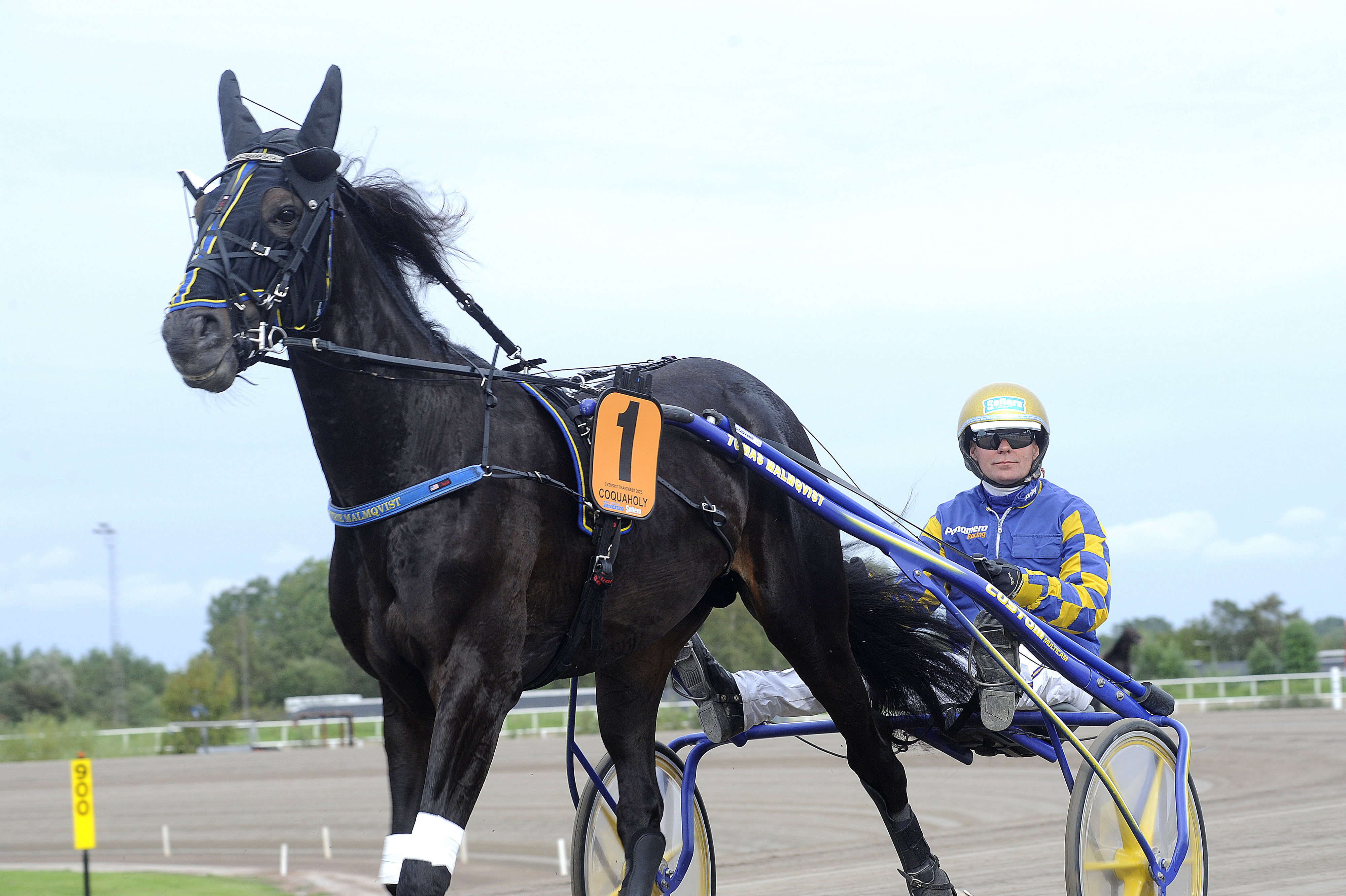 Coquaholy heat