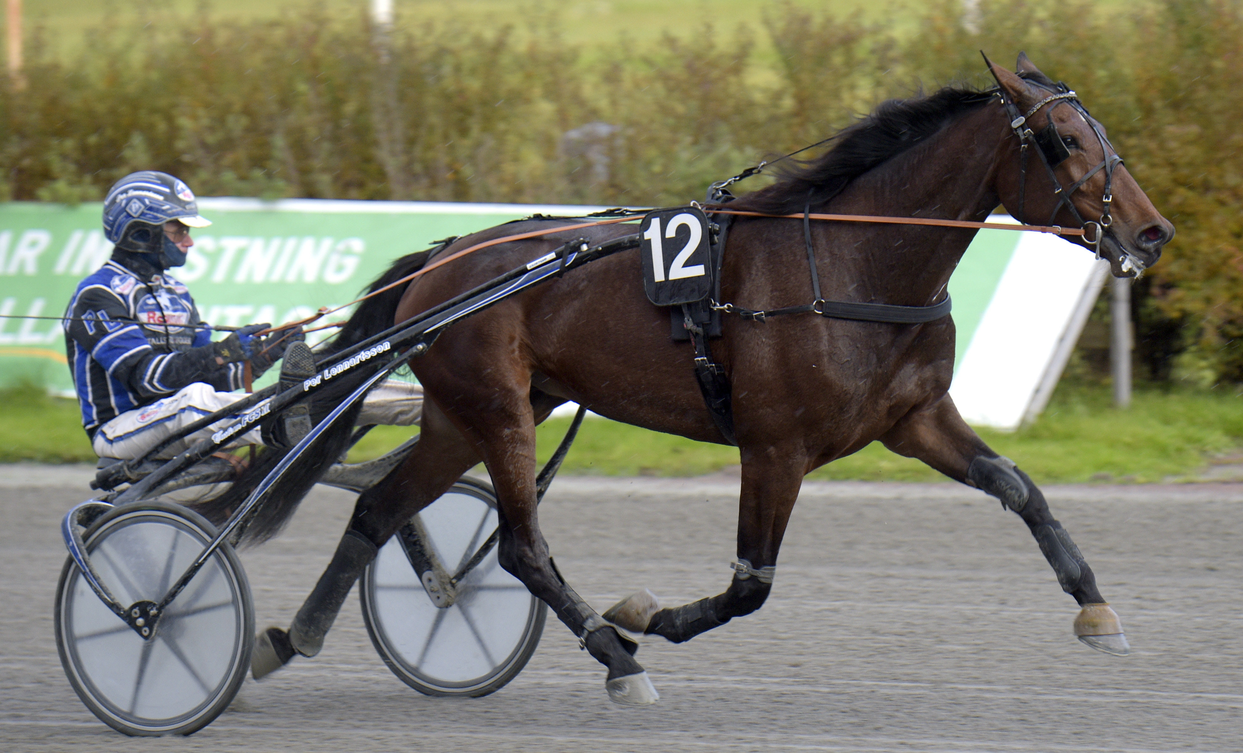 Nyförvärv till Kalmar-stallet