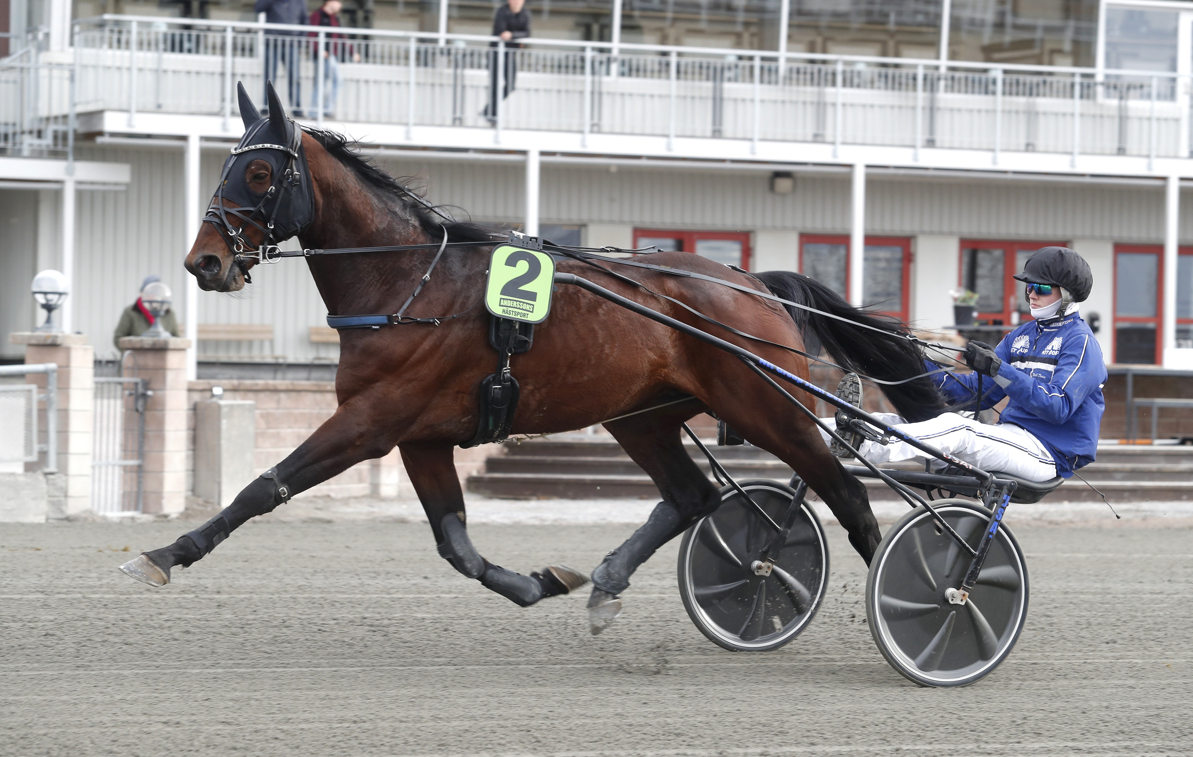 Miljonären mot comeback