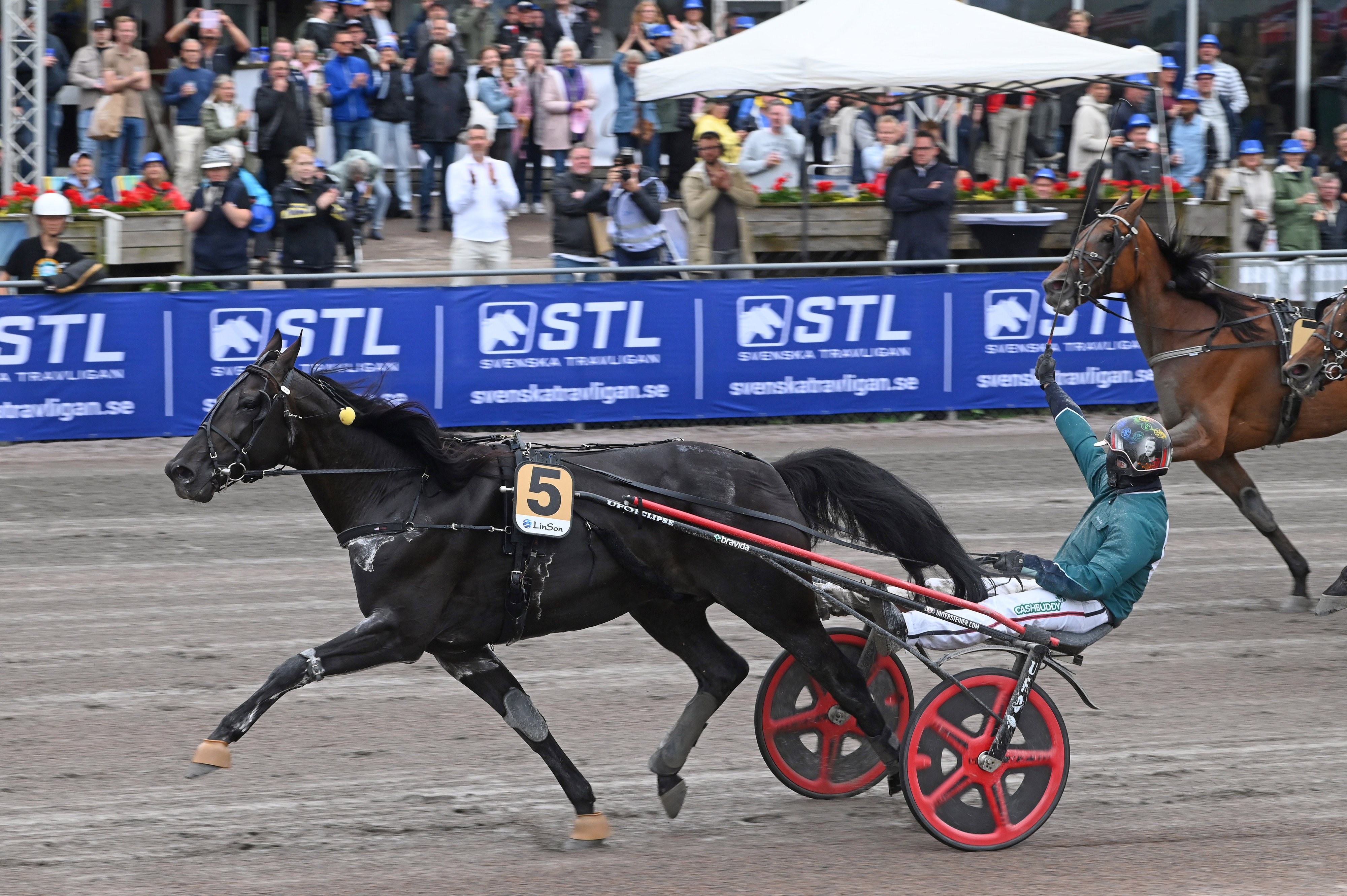 Dancer Brodde mal DSC 8536