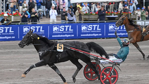 Dancer Brodde mal DSC 8536