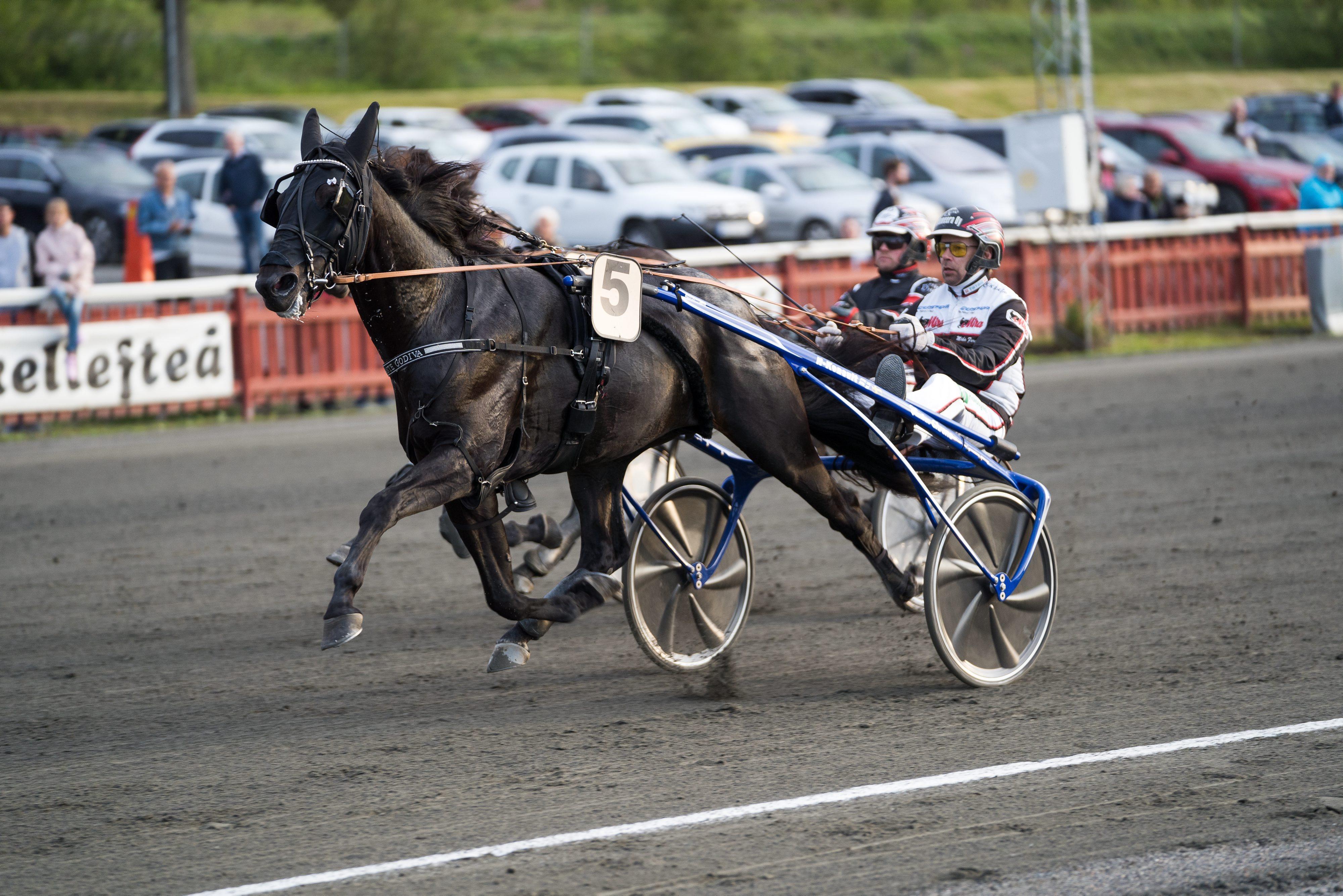 Svenskhäst i Malta-debut