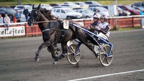 Dante Godiva malbild 01