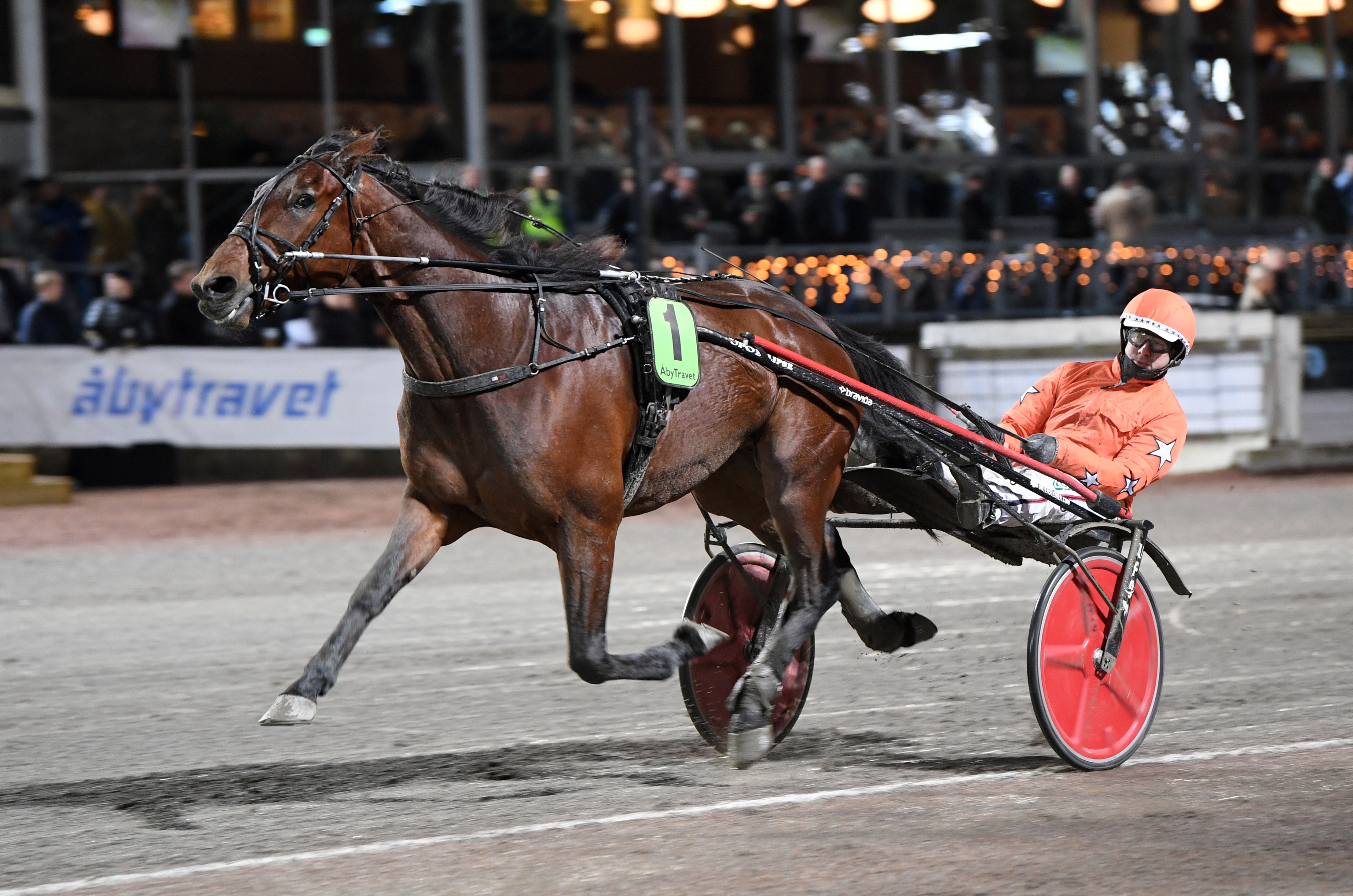 Dart Kronos m l 38 3