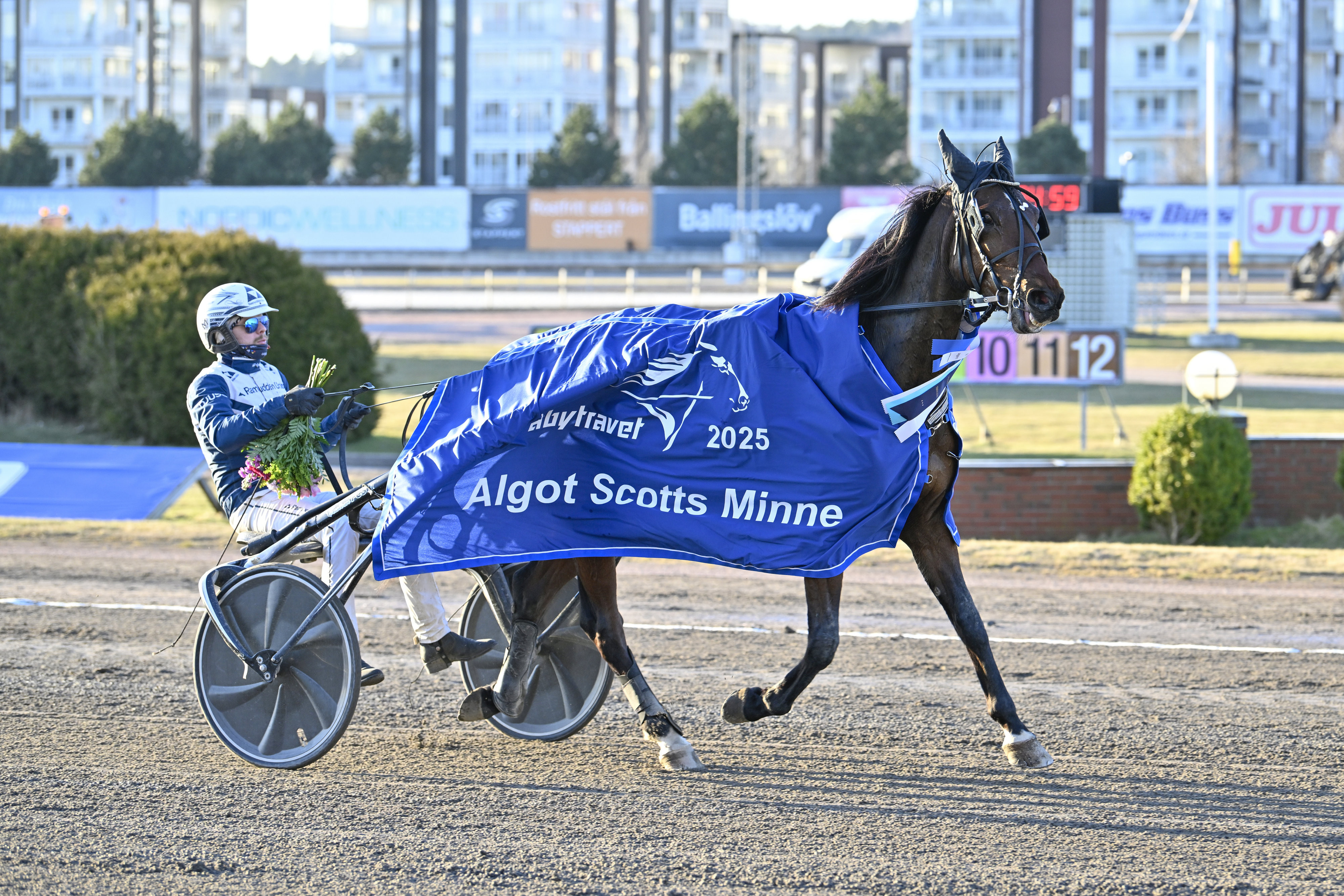 STL-profilen till Italien