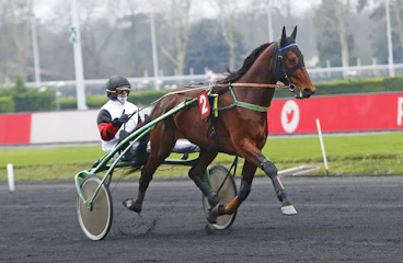 Davidson du Pont