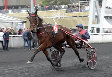 Delia du Pommereux 2 1