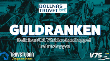 Delicious U S Varldsrekordloppet Bollnasloppet
