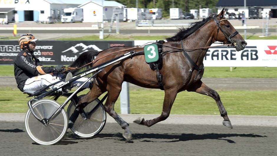 "Hemskheten man plötsligt måste hantera"