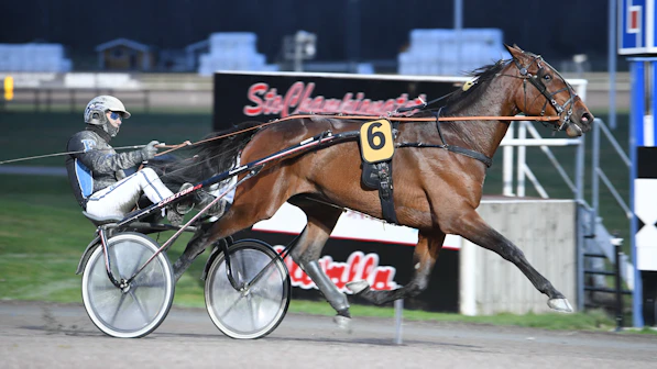 El Vego Khalifa mal 634 2