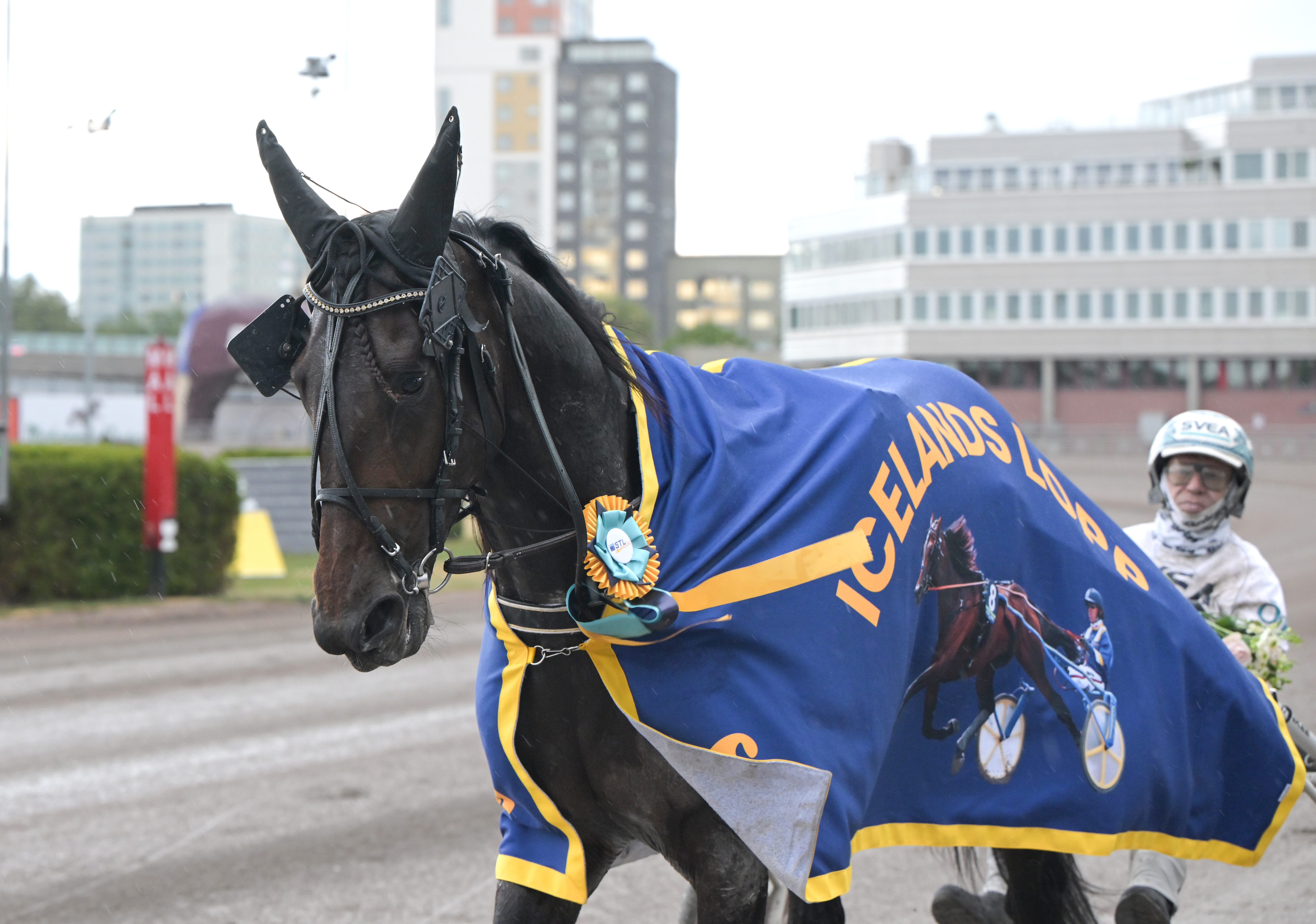 Epic Kronos segerdefilerar