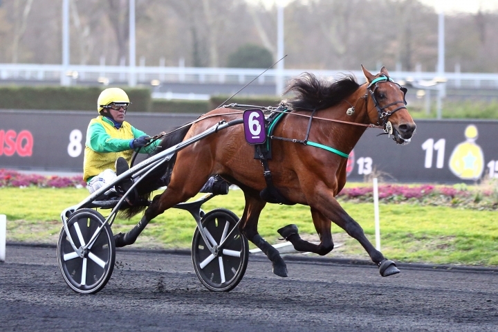 Storheten Björn Goop